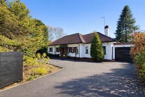 Photo 24- click for photo gallery